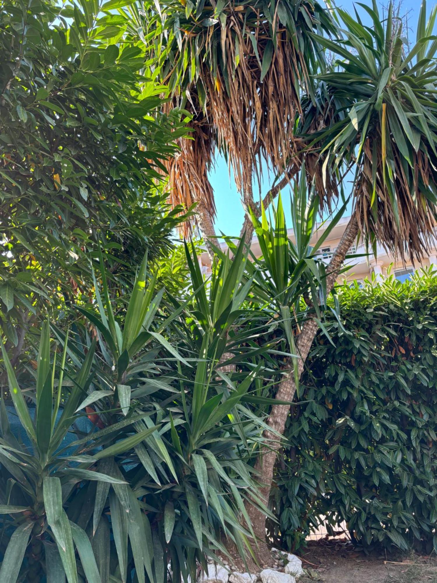 Beachside Apartment With Pool & Garden In Juan Les Pins Antibes Luaran gambar