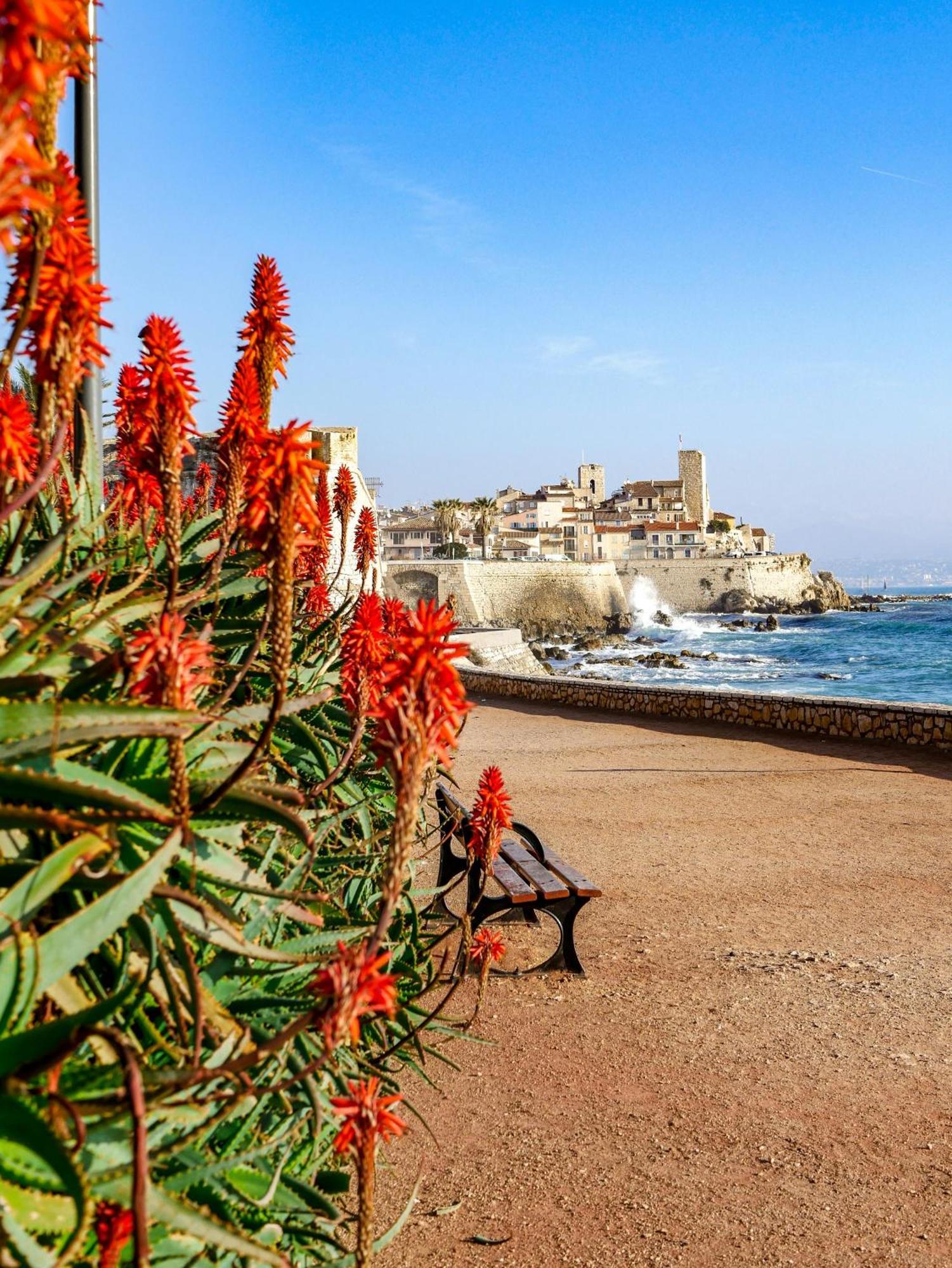 Beachside Apartment With Pool & Garden In Juan Les Pins Antibes Luaran gambar